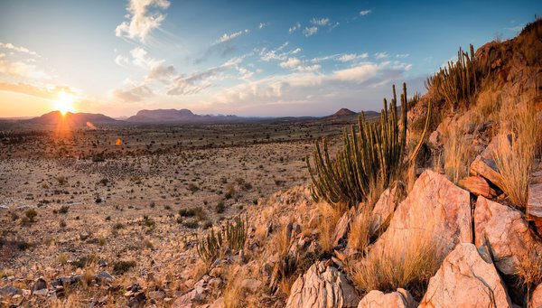 Desierto del Kalahari
